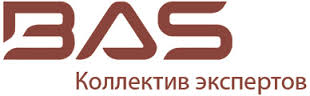 BAS (Business Applications Solutions)